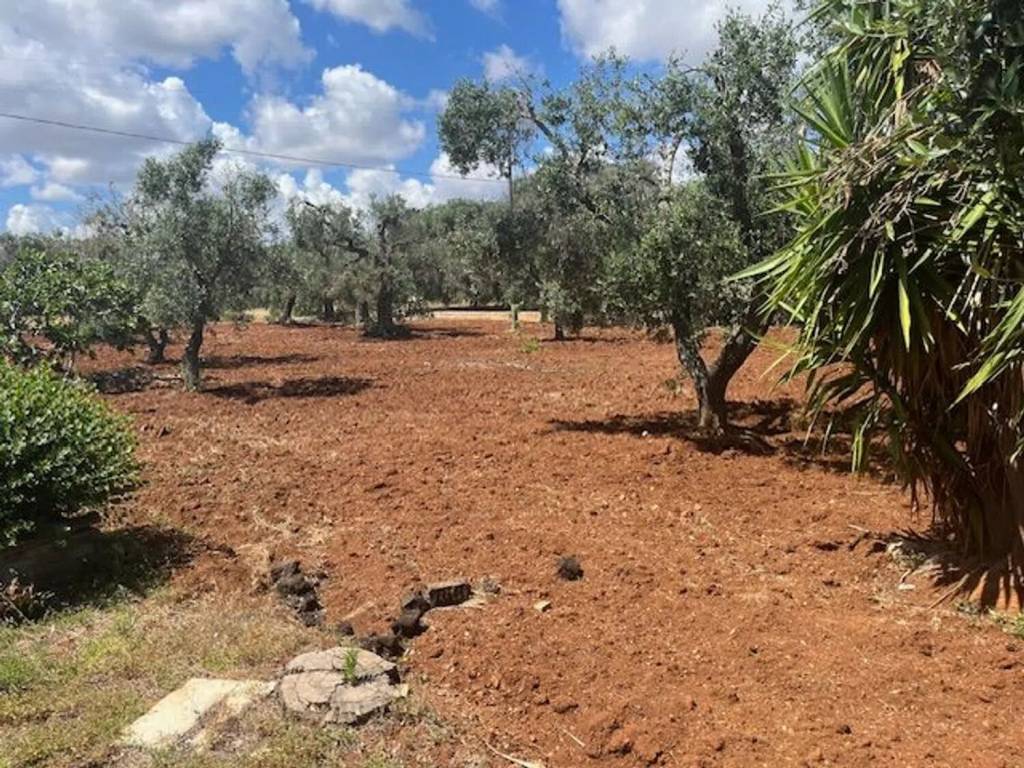 Villa a Carovigno in Contrada Arrighi - Foto 3