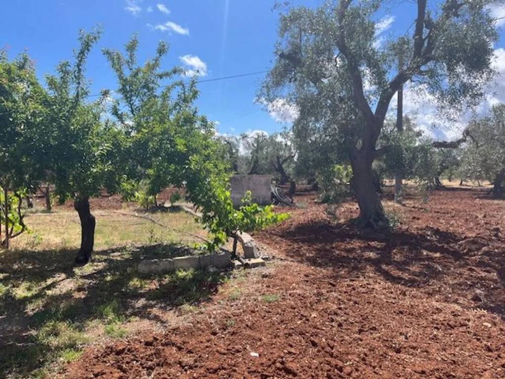 Villa a Carovigno in Contrada Arrighi - Foto 5