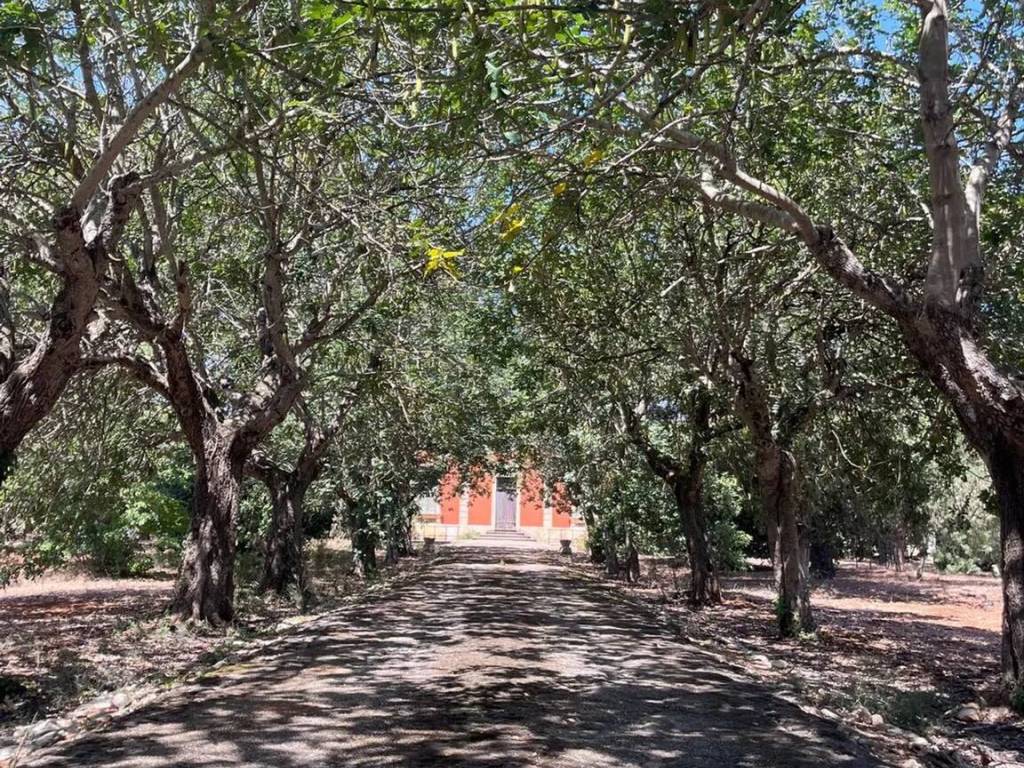 Villa a Carovigno in Contrada Colacavallo - Foto 5