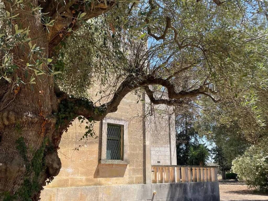 Villa a Carovigno in Contrada Colacavallo No Number - Foto 3