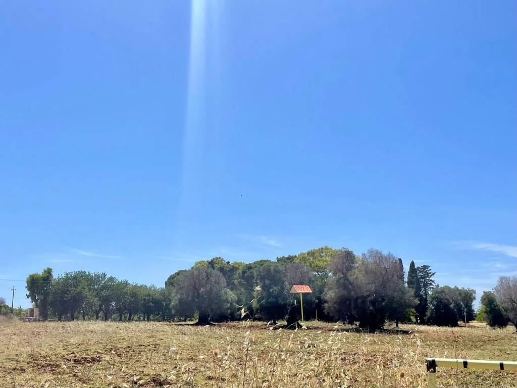 Villa a Carovigno in Contrada Colacavallo No Number - Foto 4