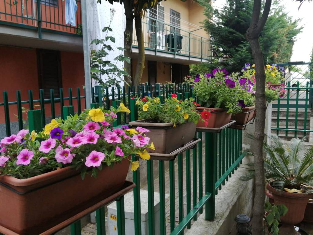 Villetta a schiera a None in Via San Lorenzo - Foto 2