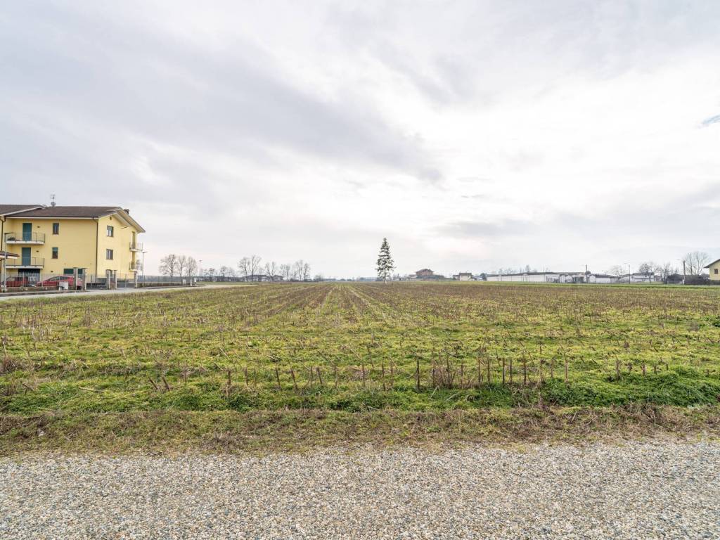 Terreno a Cardè in Via Salesea, SNC - Foto 3