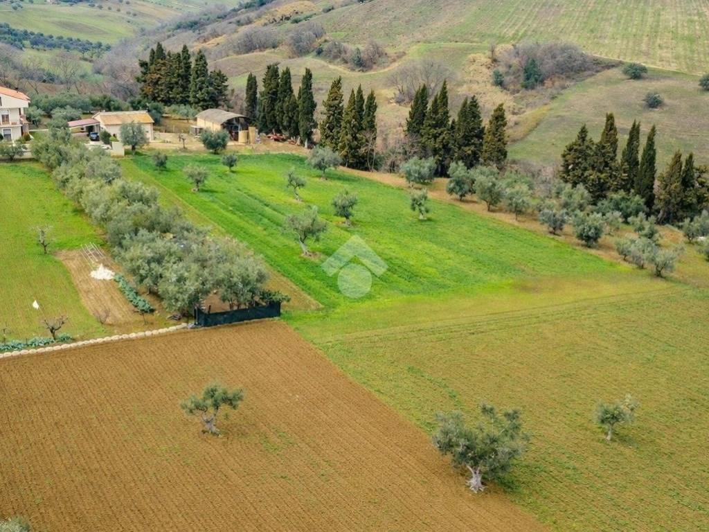 Terreno a Morro d'oro in Via Santa Maria di Propezzano, 68 - Foto 3
