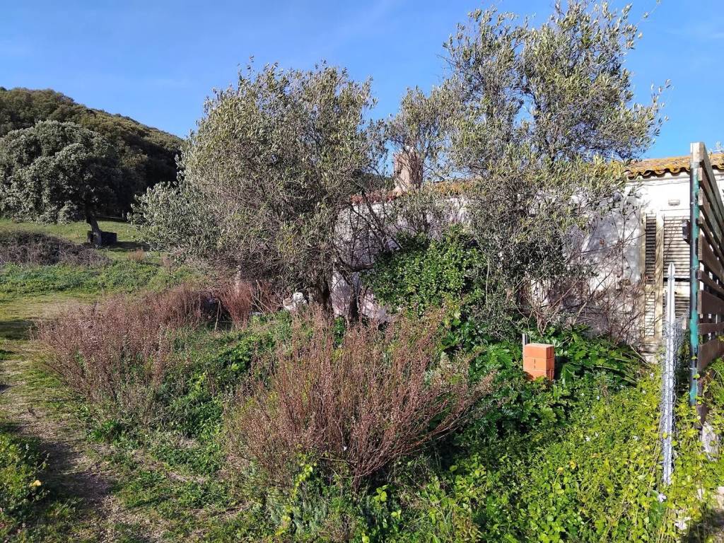 Rustico / casale a Aggius in Loc. Bonaita No Number - Foto 2