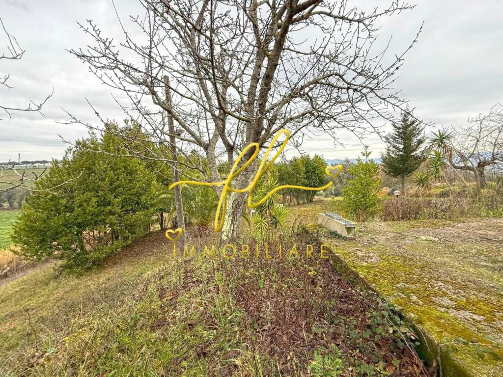 Terreno a Rosignano marittimo - Foto 3