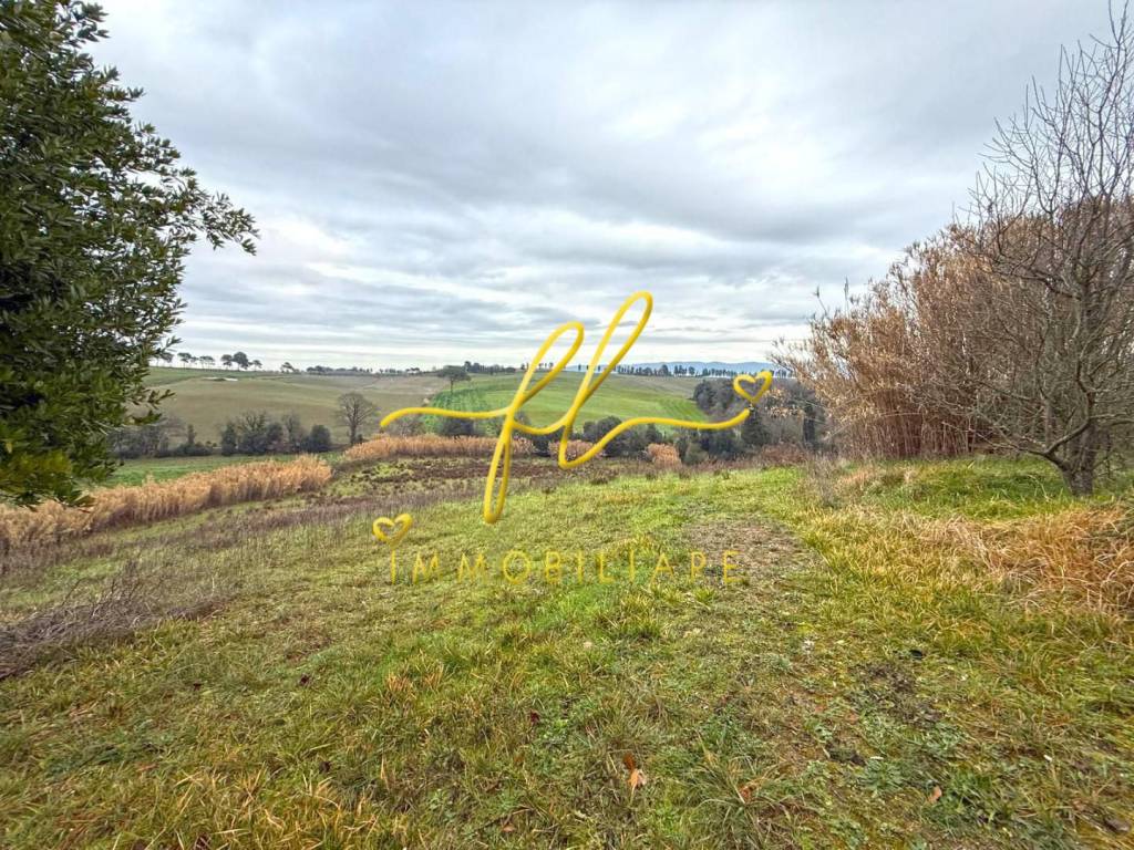 Terreno a Rosignano marittimo - Foto 4