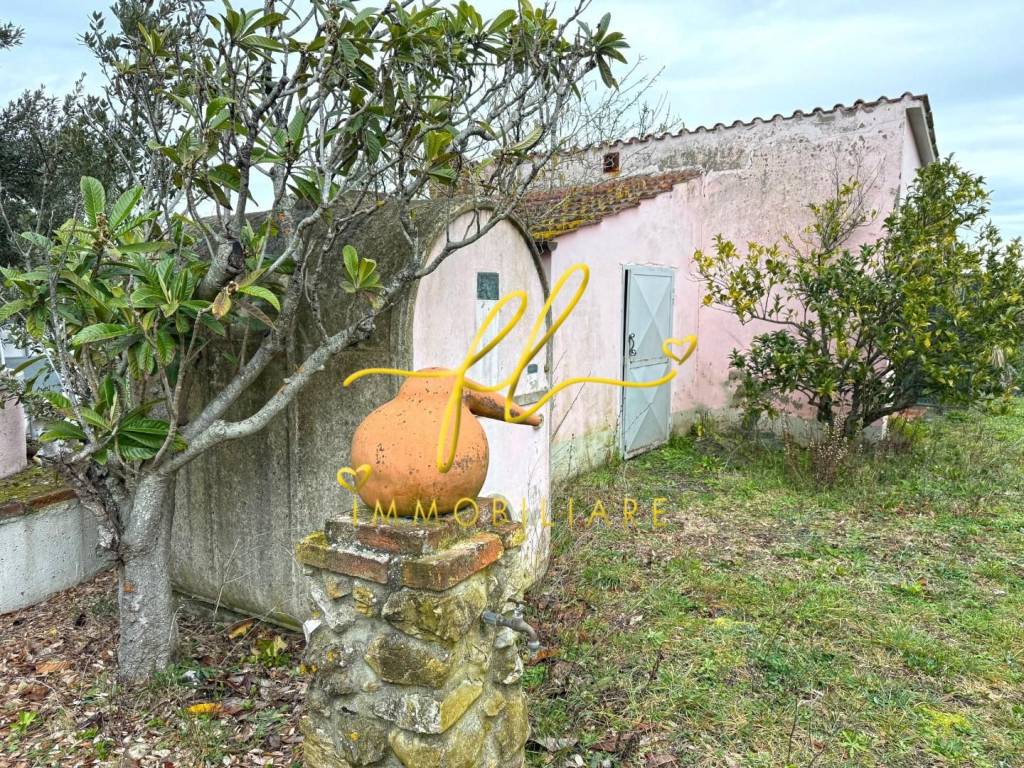 Terreno a Rosignano marittimo - Foto 5