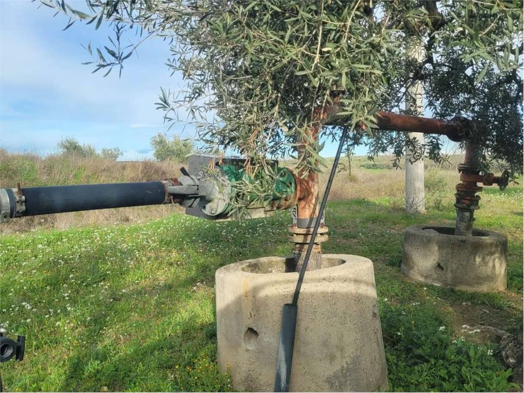 Terreno a Cerignola in VIA PANTANELLA - Foto 3