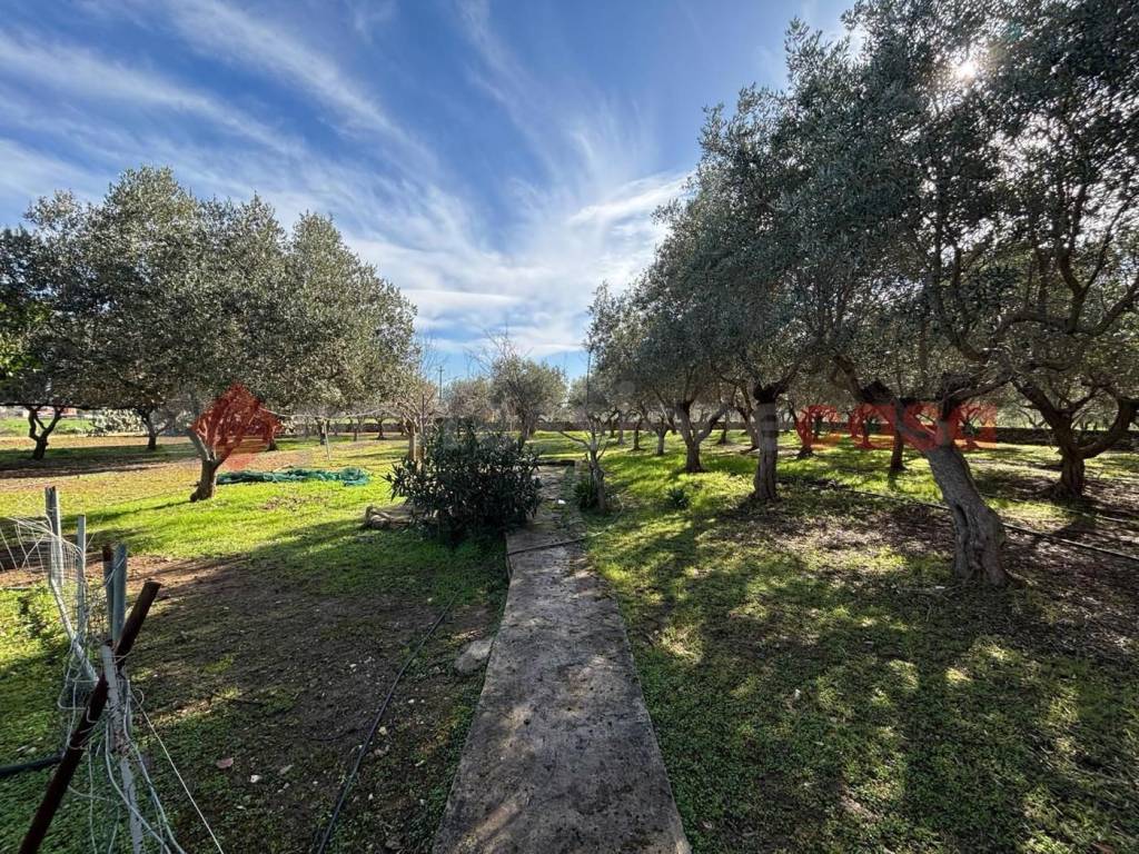 Appartamento a Statte in VIA LEUCASPIDE, 147 - Foto 2