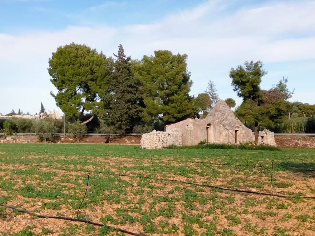 Rustico / casale a Conversano in Contrada Bellasora - Foto 3