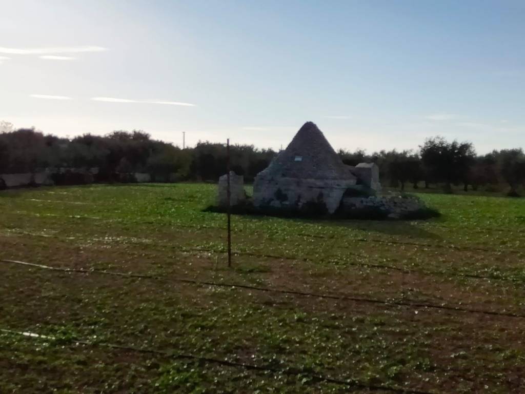 Rustico / casale a Conversano in Contrada Bellasora - Foto 4
