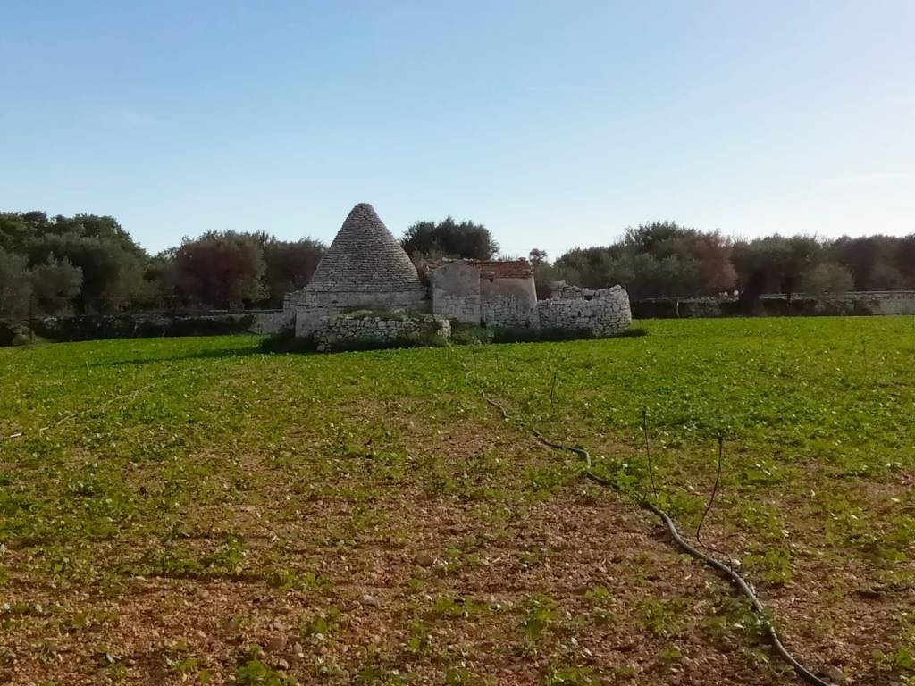 Rustico / casale a Conversano in Contrada Bellasora - Foto 5