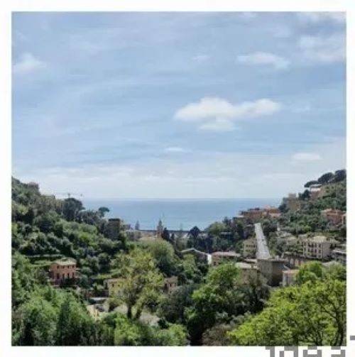 Villetta a schiera a Zoagli in Via Canevelli - Foto 2