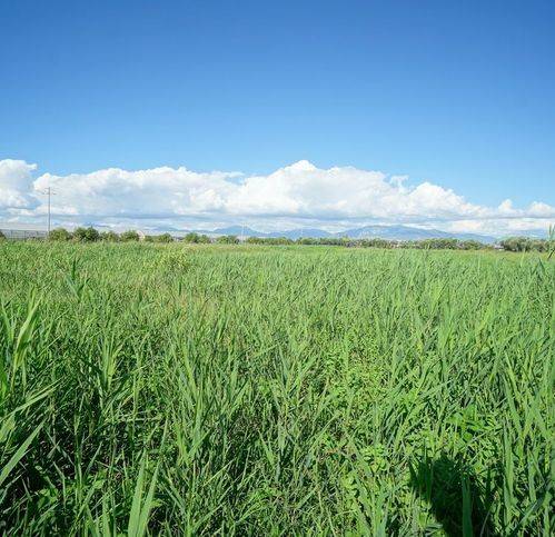 Terreno a Eboli in Via Campolongo - Foto 5