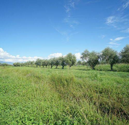 Terreno a Eboli in Via Campolongo - Foto 2