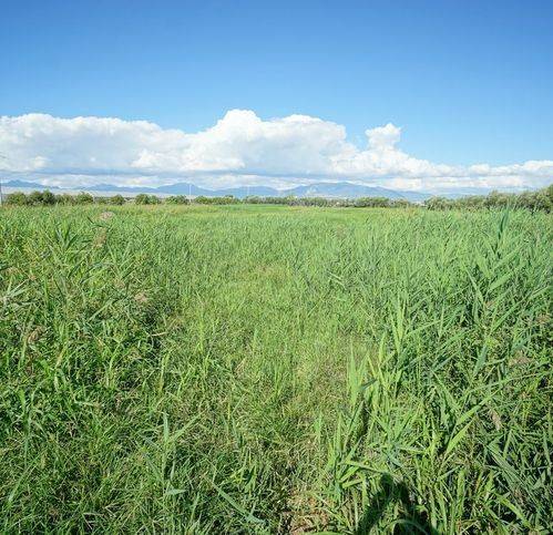Terreno a Eboli in Via Campolongo - Foto 4