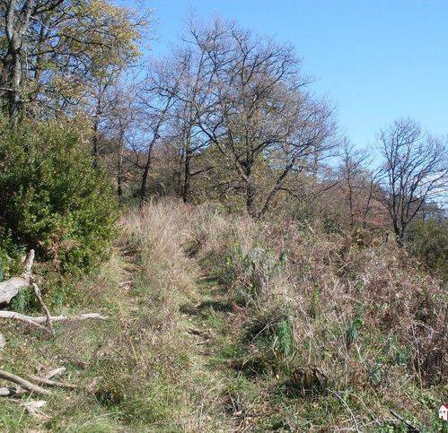 Terreno a Eboli in Via Paradiso 32 - Foto 2