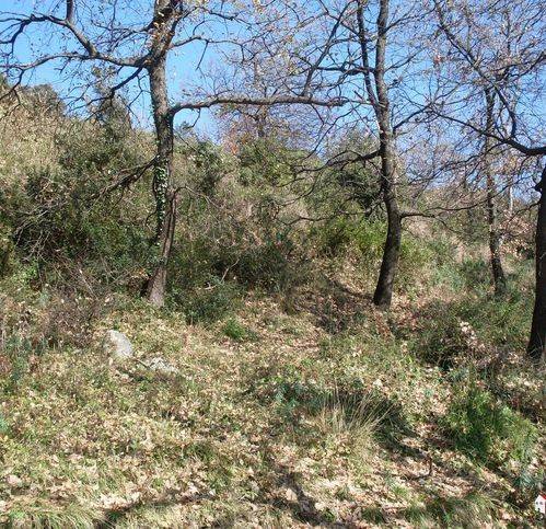 Terreno a Eboli in Via Paradiso 32 - Foto 4