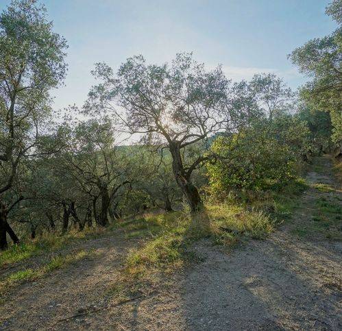 Terreno a Eboli in Via Olevano - Foto 3