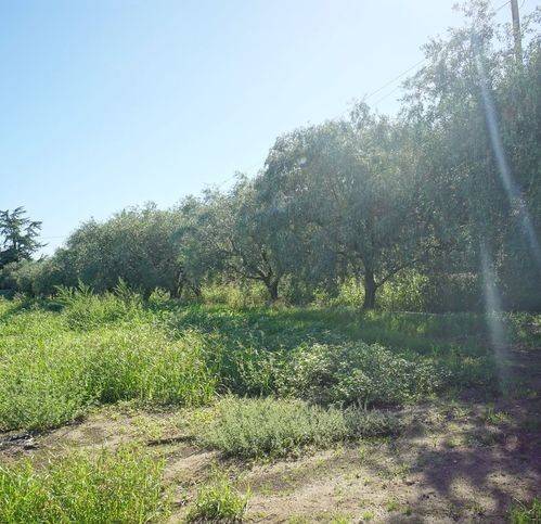 Terreno a Eboli in Via Boscariello - Foto 4