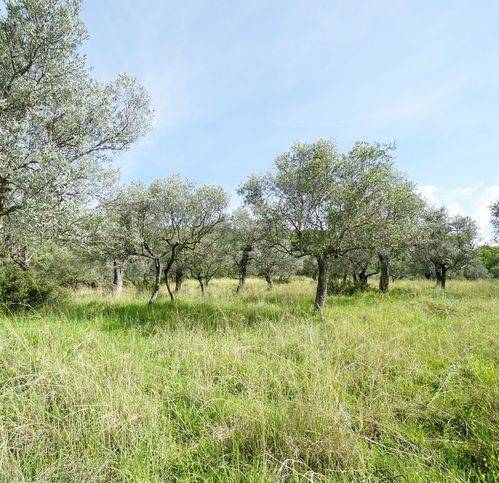 Terreno a Eboli in Via Cuzzolini - Foto 3