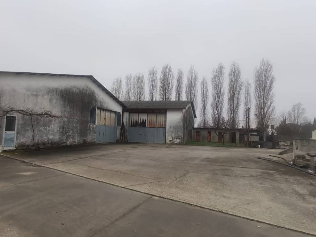 Villa a Cerea in Via Barbugine - Foto 4