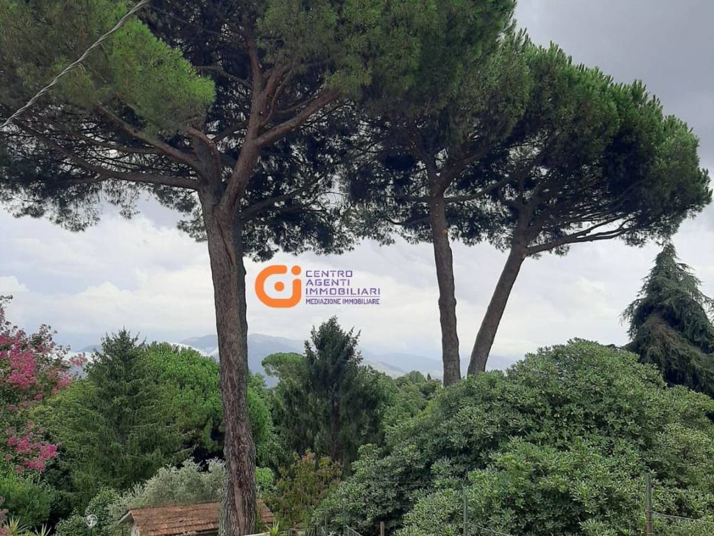 Villa a Velletri in Via Acqua Palomba - Foto 4
