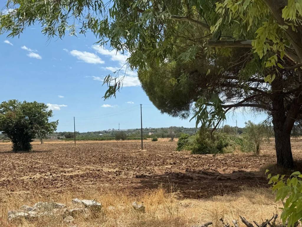 Rustico / casale a Ceglie messapica in Contrada Campoorlando - Foto 5
