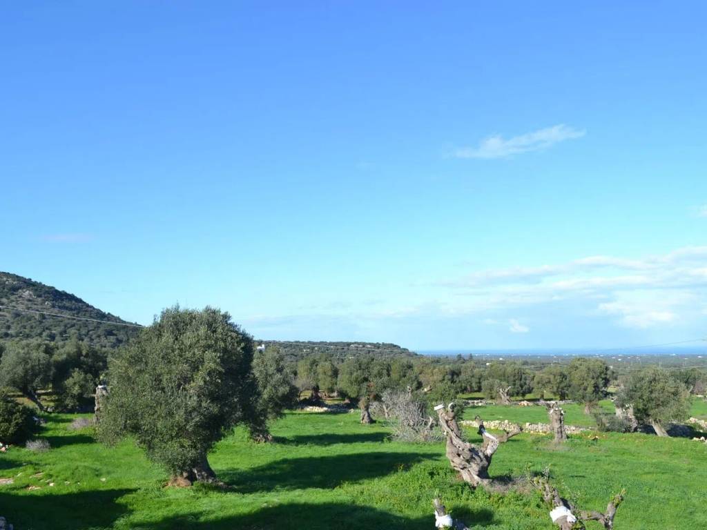 Rustico / casale a Ostuni in Contrada Malandrino No Number - Foto 3