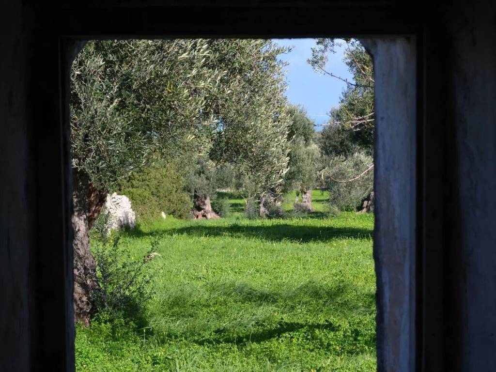 Rustico / casale a Ostuni in Contrada Malandrino No Number - Foto 4