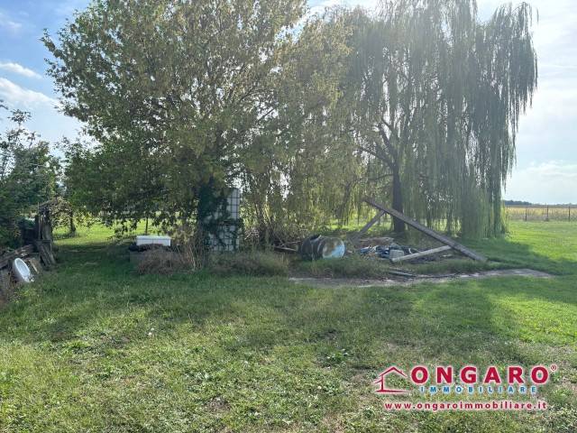 Casa indipendente a Copparo in Via Provinciale Per Cologna - Foto 2