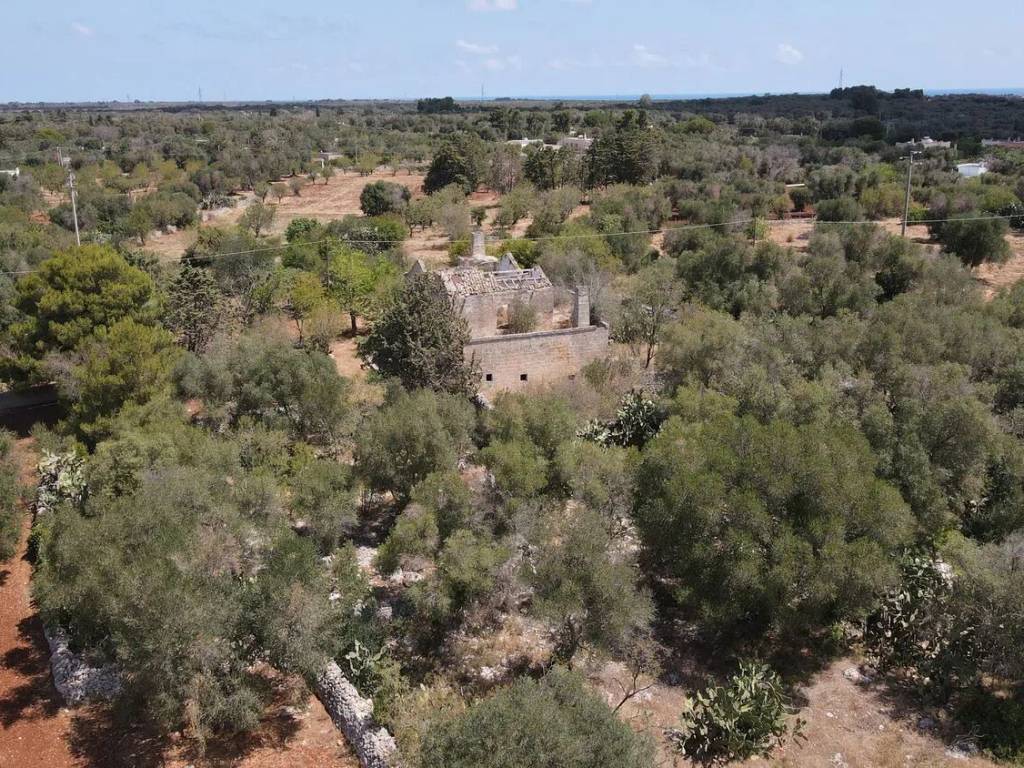 Rustico / casale a San vito dei normanni in Contrada Poggioreale S.N.C. - Foto 5