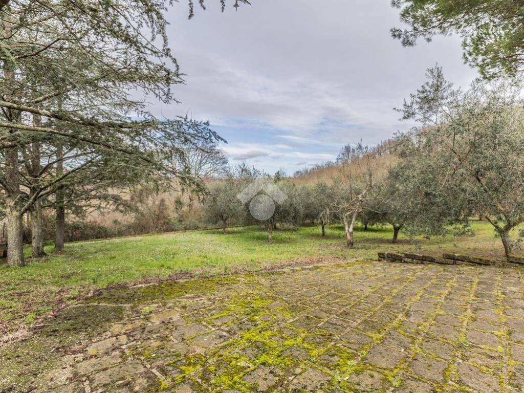 Villa a Canale monterano in Via Montevirginio, 63 - Foto 4