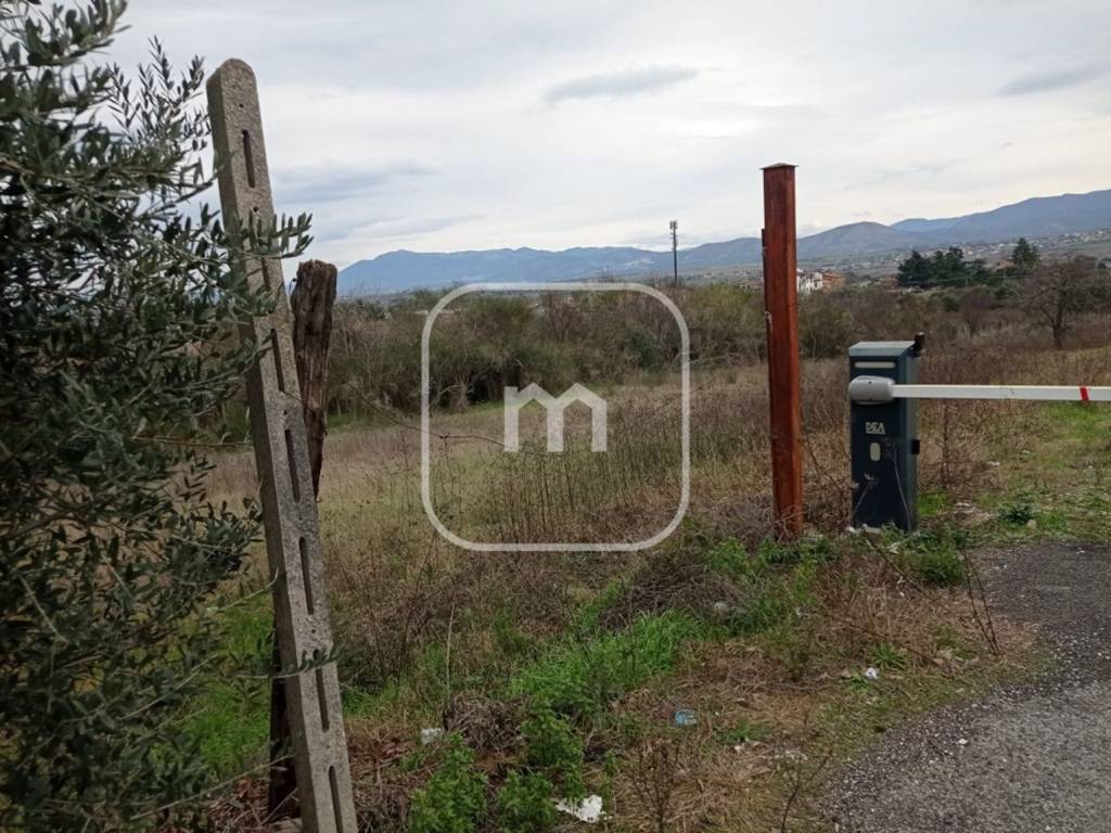 Terreno a Monte porzio catone in Via Roma, 43 - Foto 2