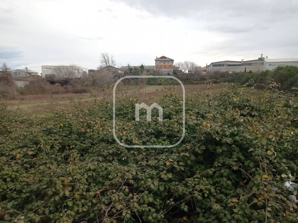 Terreno a Monte porzio catone in Via Roma, 43 - Foto 5