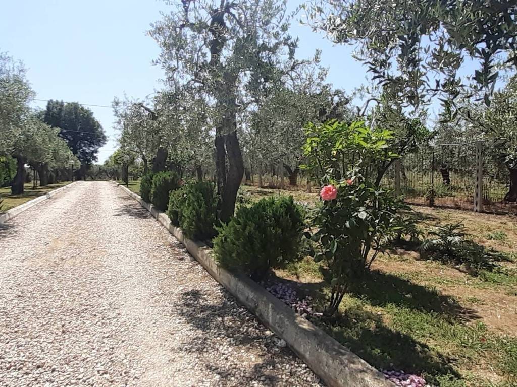 Villa a Chieti in VIALE MAIELLA - Foto 2