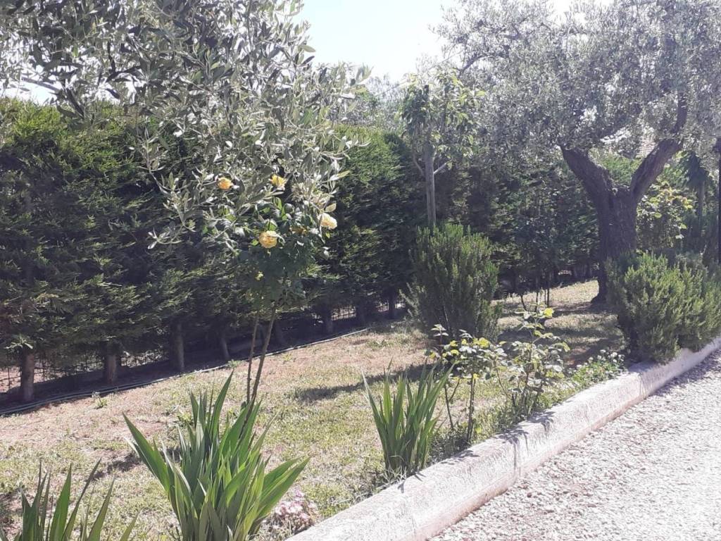 Villa a Chieti in VIALE MAIELLA - Foto 3