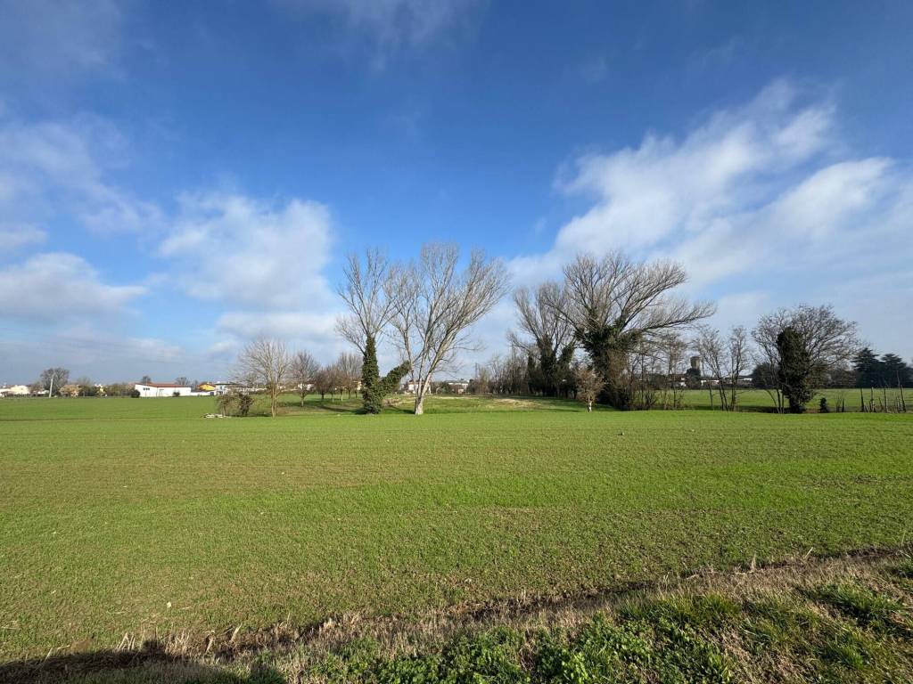Terreno a Arquà polesine in Via Montolla, 500 - Foto 2