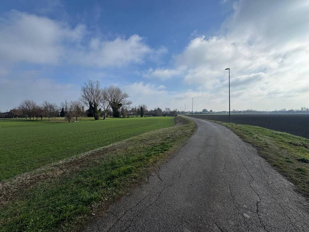 Terreno a Arquà polesine in Via Montolla, 500 - Foto 4
