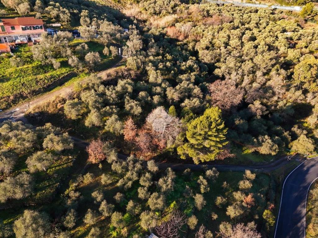 Terreno a Costarainera in Strada provinciale - Foto 2