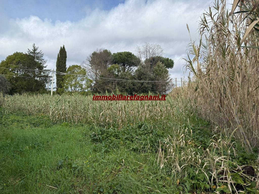 Terreno a Velletri in Via Pratolungo - Foto 2