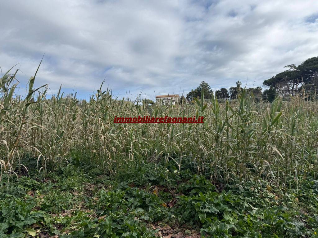 Terreno a Velletri in Via Pratolungo - Foto 3