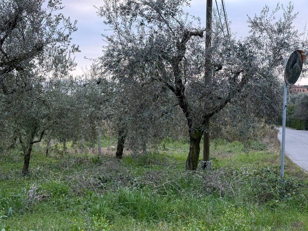 Terreno a Velletri in Via Pratolungo - Foto 4