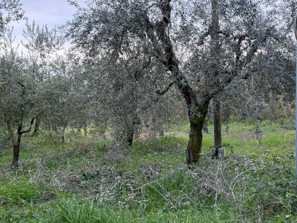 Terreno a Velletri in Via Pratolungo - Foto 5