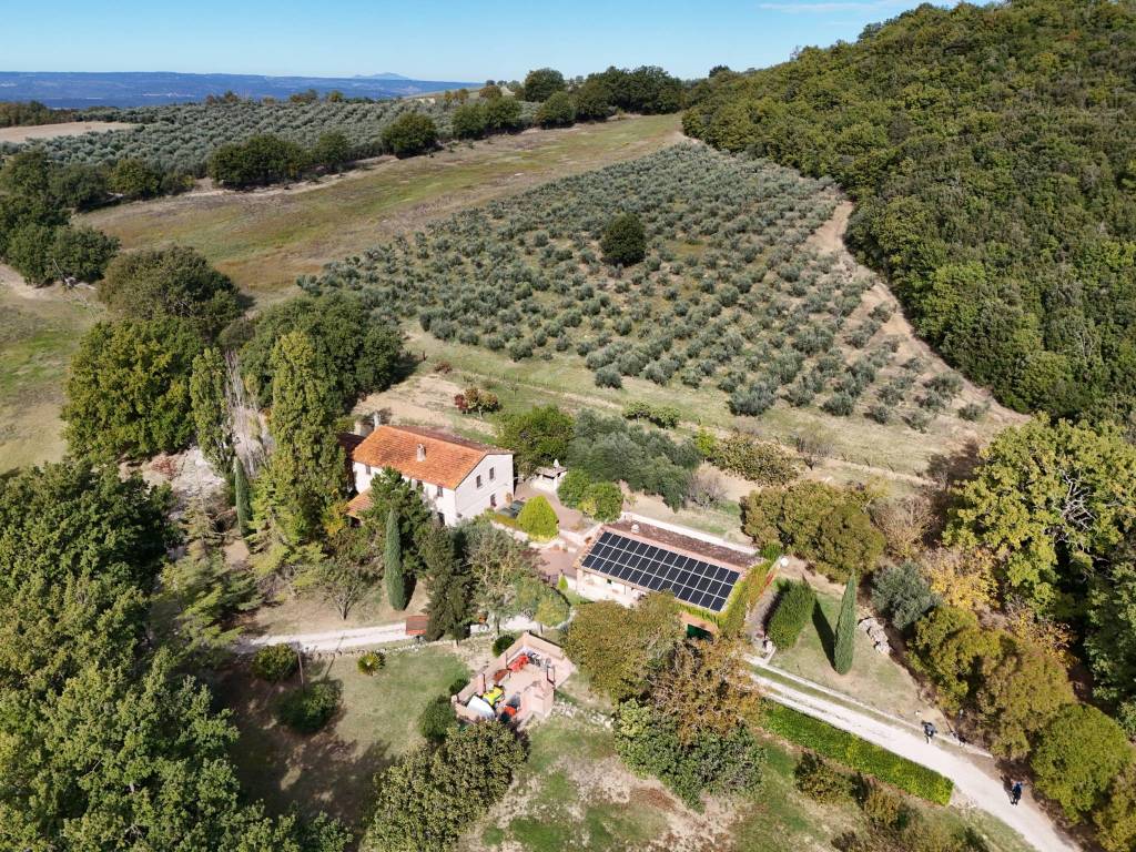 Rustico / casale a Amelia in Via Silvio Pellico, 35 - Foto 2
