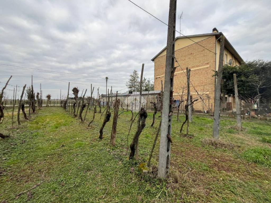 Terreno a Ravenna in Via Dino Ravaioli, 1 - Foto 3