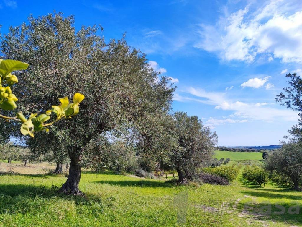 Rustico / casale a Noto - Foto 3