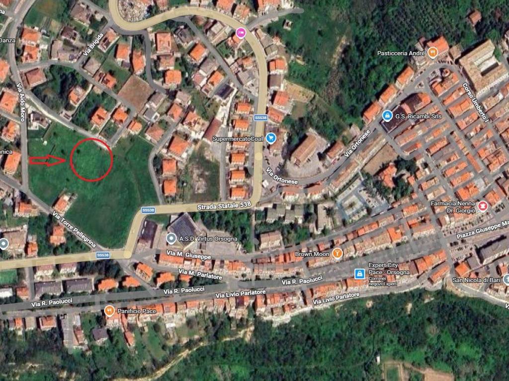 immagine di copertina