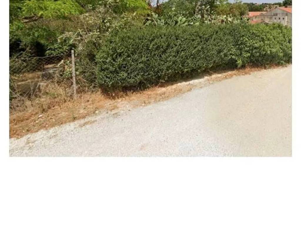 Terreno a Salemi - Foto 2